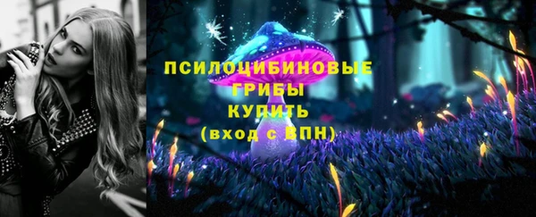ECSTASY Семёнов