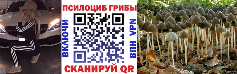 Галлюциногенные грибы GOLDEN TEACHER Верхняя Салда