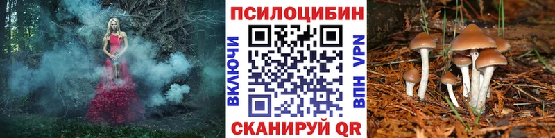 Галлюциногенные грибы Magic Shrooms  цены наркотик  Верхняя Салда 