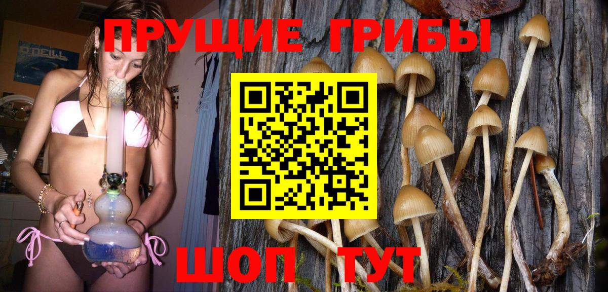 Галлюциногенные грибы мухоморы Верхняя Салда