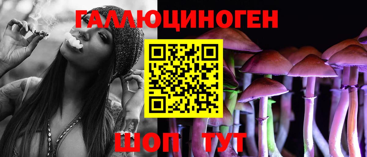 Верхняя Салда  Псилоцибиновые грибы Cubensis  Вход с VPN 